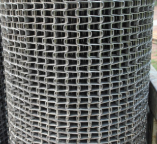Customized Stainless Steel Conveyor Belt 25mm Wire Mesh
