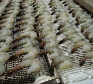 316 Stainless Steel Balanced Weave Net Conveyor Belt Wire Mesh