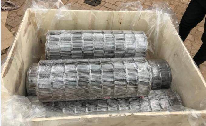 SUS316L Stainless Steel Conveyable Conveyor Belt Fabrication Mesh Wire 5