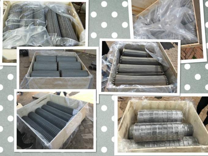 SUS316L Stainless Steel Conveyable Conveyor Belt Fabrication Mesh Wire 6