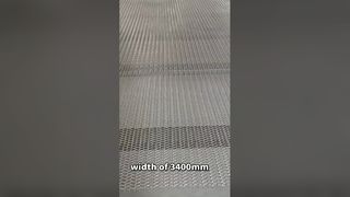 Custom Stainless Steel Mesh Belt for Industrial Conveyors